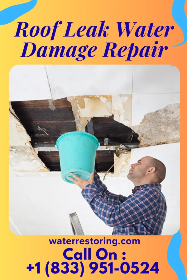 Roof Leak Water Damage Repair in Danville, GA
