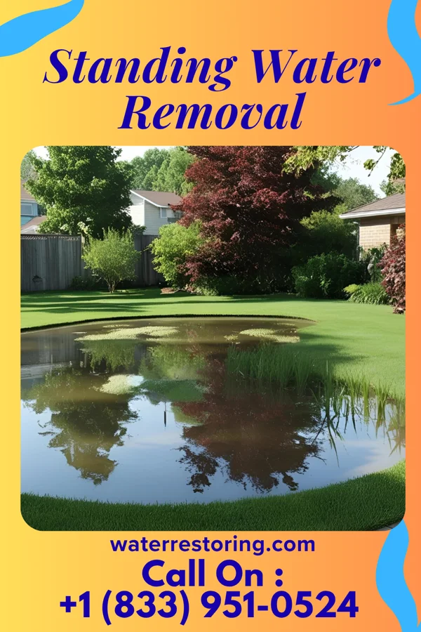 Standing Water Removal in Danville, GA
